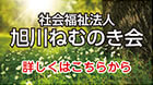 社会福祉法人 旭川ねむのき会についてはこちら
